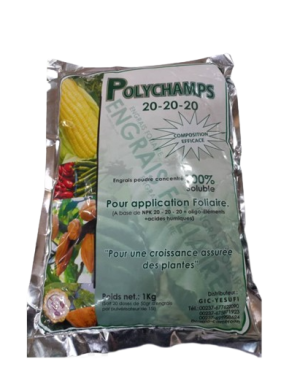 Polychamp NPK 20 - 20 - 20 Fertilizer | 1kg from HTS Farms