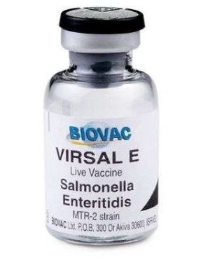 Biovac Salmonella Live Vaccine + Transport Flask