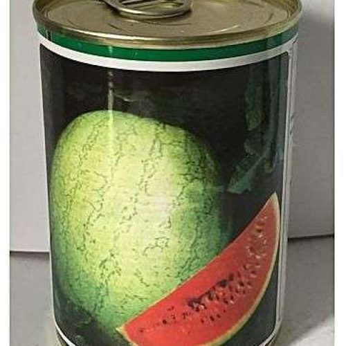 Technisem Kaolack Watermelon Seed (100g)