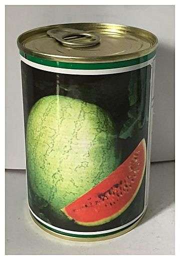 Technisem Kaolack Watermelon Seed