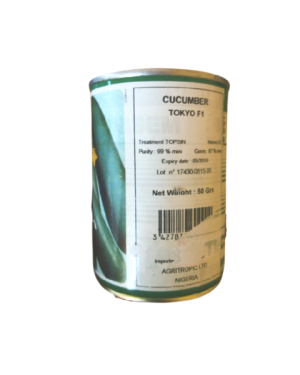 Technisem Tokyo Cucumber
