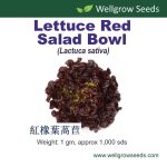 Wellgrow Lettuce Red Salad Bowl