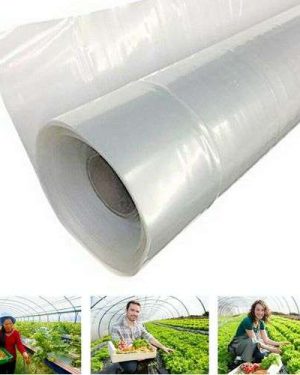 Greenhouse Cover Film/Polythene
