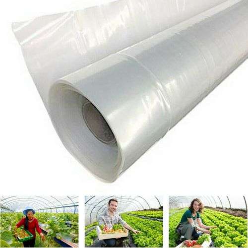 Greenhouse Cover Film/Polythene