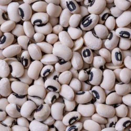 Beans