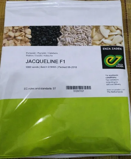 Buttermut Jacqueline F1 | 1000 seeds