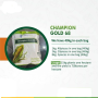 Champion Gold 68 F1 hybrid yellow maize | 2kg