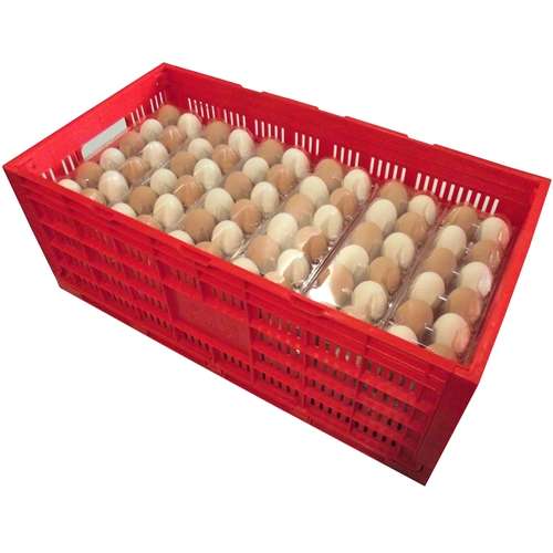 Egg Transport Box | Single - Image 2