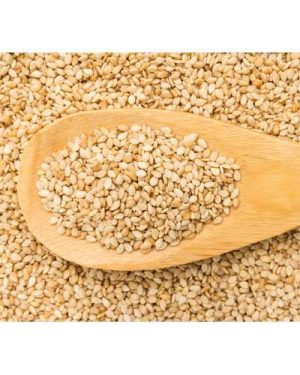 Ex-Sudan Sesame Seed