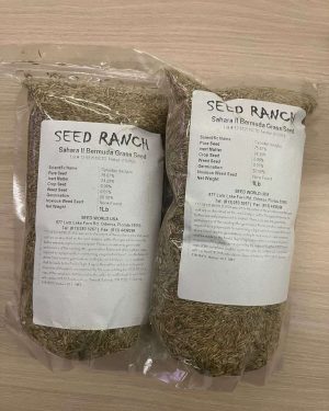 Sahara II Bermuda Carpet Grass Seeds | 250g from HTS Farms