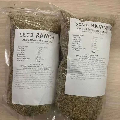 Sahara II Bermuda Carpet Grass Seeds (500g)
