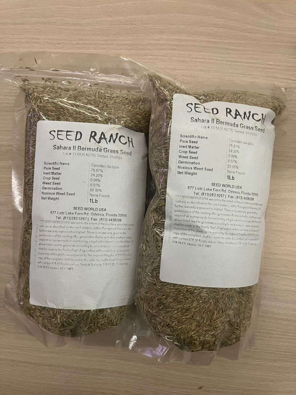 Sahara II Bermuda Carpet Grass Seeds | 250g from HTS Farms