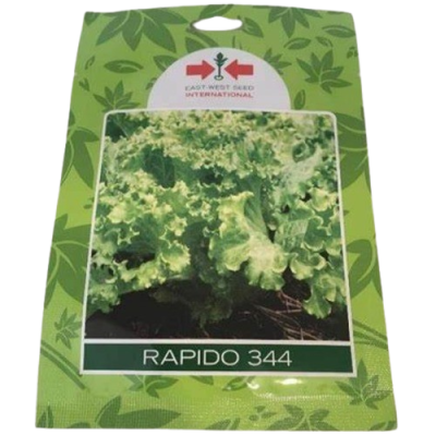 Rapido 344 Lettuce | 10g