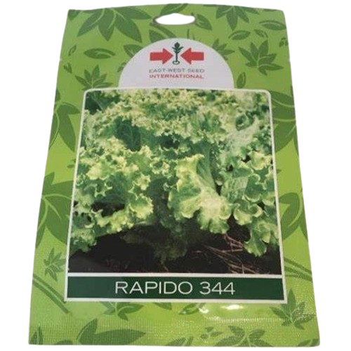 Rapido 344 Lettuce