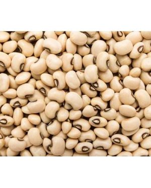 Sampea 11 Cowpea Seed