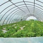 Solarig Greenhouse Cover