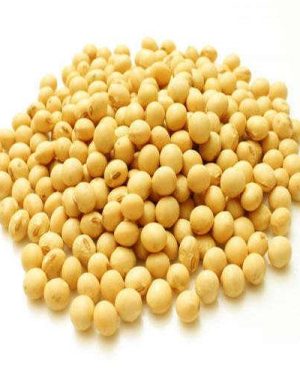 Signal Soybean Seed