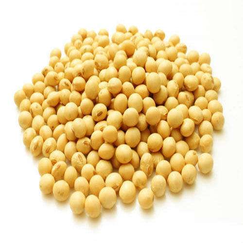 Signal Soybean Seed