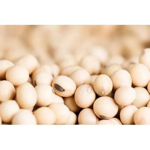 Soybean TGX 1951 | 5kg