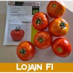 Tomato Lojain F1 Det. Beef