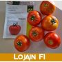 Tomato Lojain F1 Det. Beef