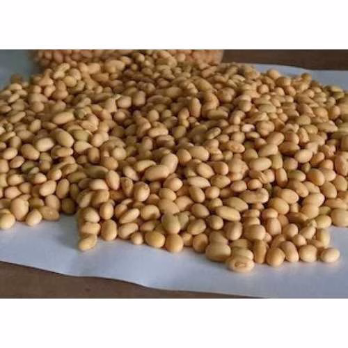 Soybean TGX 1448 | 5kg