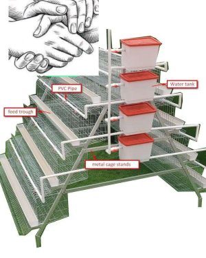 Galvanized 4-tier Battery Cage (Cold Deep) - 126 Birds