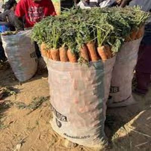 Sack of Carrots (50kg)