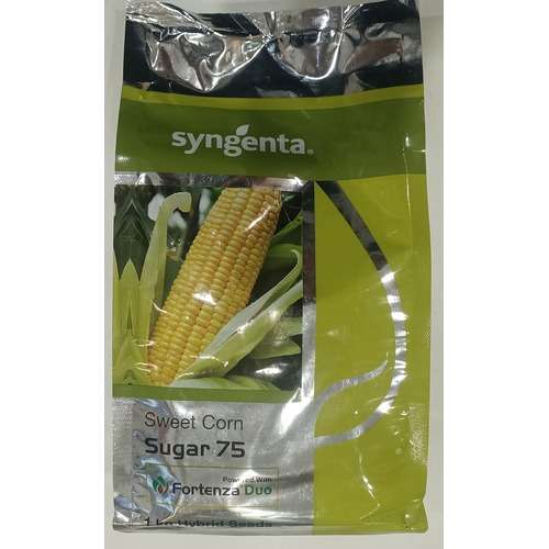Sweet Corn Sugar 75