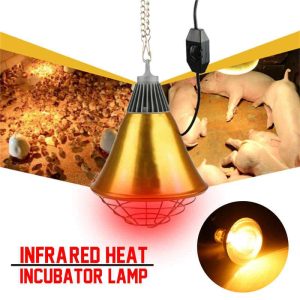 Electric Heater Infrared Heating for Piglets and Chicks Small Size 250W