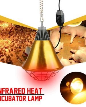 Electric Heater Infrared Heating for Piglets and Chicks Small Size 250W