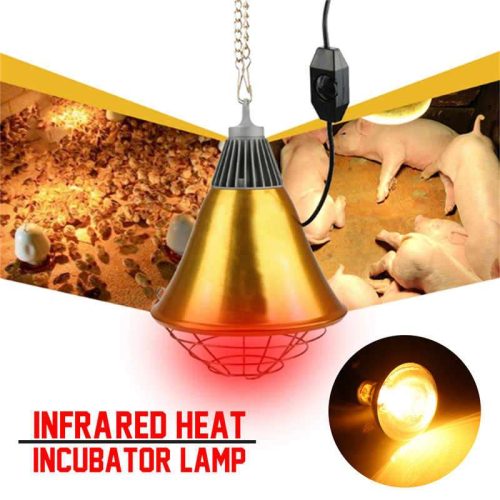 Electric Heater Infrared Heating Big Size 250W
