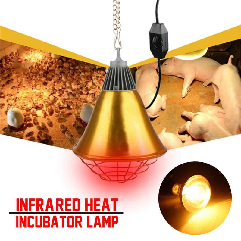 Electric Heater Infrared Heating for Piglets and Chicks Small Size 250W