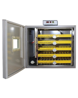 Eggs Incubator with Inverter (300 Eggs)