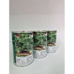 Coriander Long Standing