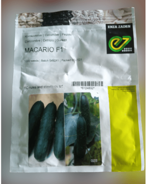 Macario F1 Slicer Dark Green Cucumber