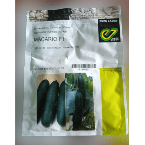 Macario F1 Slicer Dark Green Cucumber