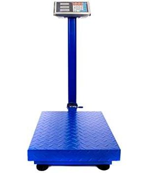 Digital Standing Scale