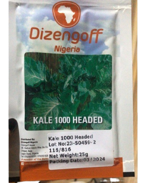 Kale 1000 Headed Seeds (Dizengoff