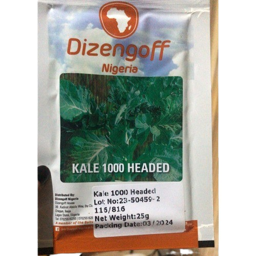 Kale 1000 Headed Seeds (Dizengoff