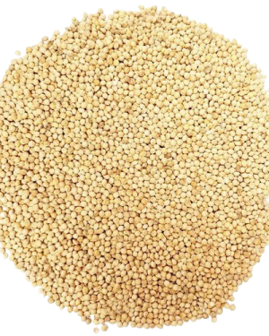 Millet