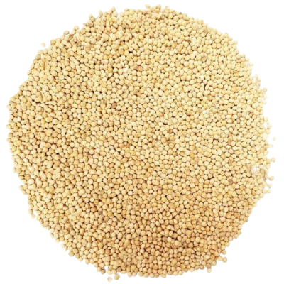Millet | 100kg