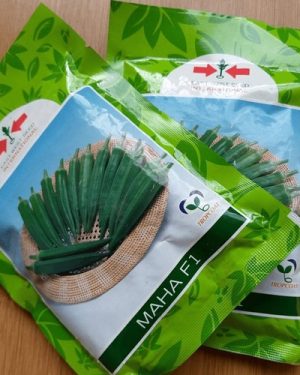 Maha F1 Okra Seed | 10g