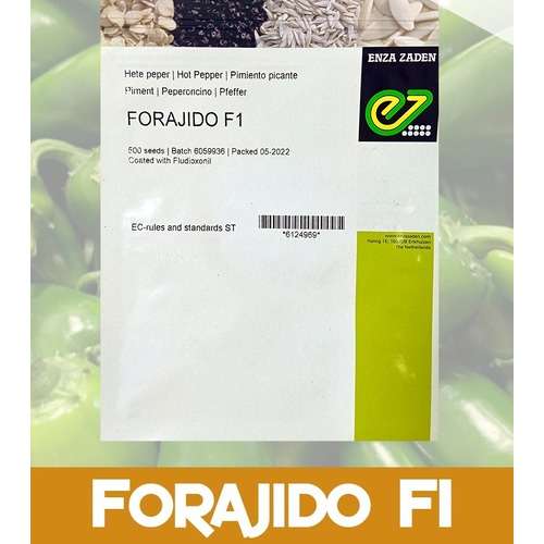 Pepper Forajido G/R Jalapeno Hot