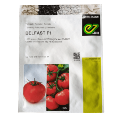 Tomato Belfast F1 Indet. Beef | 1000 seeds