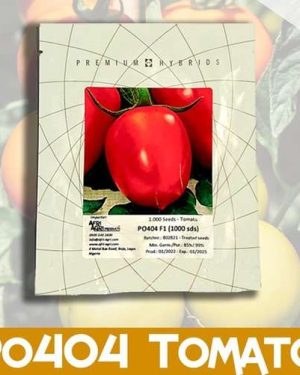 Tomato PO404 F1 (Processing)