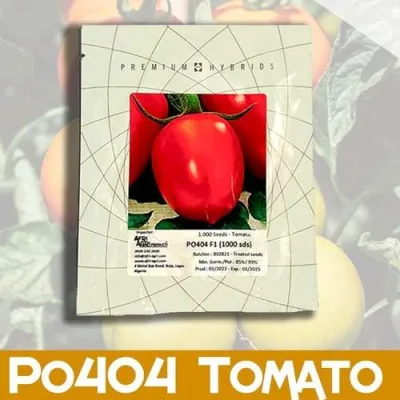 Tomato PO404 F1 (Processing) | 1000 seeds
