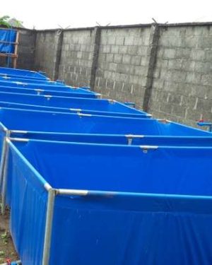 Tarpaulin Fish Pond (5ft by 10ft 3ft H)