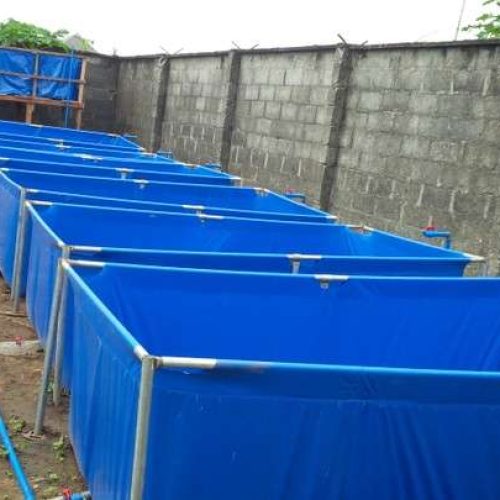 Tarpaulin Fish Pond (5ft by 10ft 4ft H) | 300 Capacity