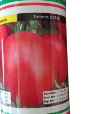 Tomato UC82B OP